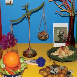 Absolute Still Life