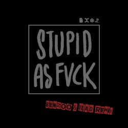 Stupid as Fvck (Benzoo & W.A.D remix)