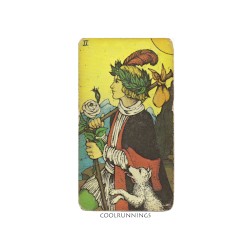 The Fool