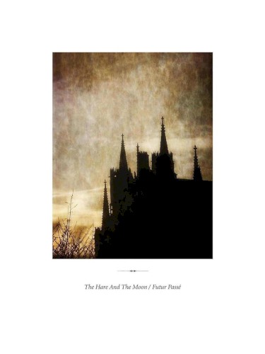 The Hare And The Moon / Futur Passé