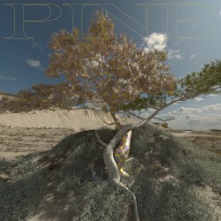 PINE