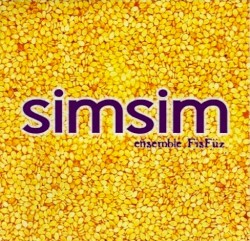 SimSim