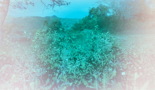 A BALLAD OF GLUTTONY