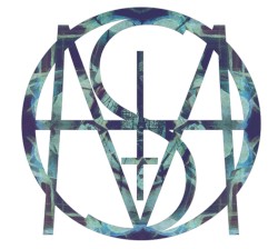 Tapetum Lucidum