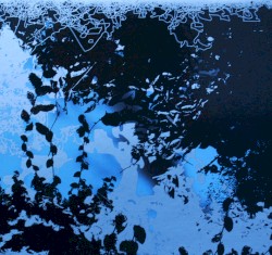 Noise of Silence