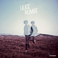 Ulige Numre