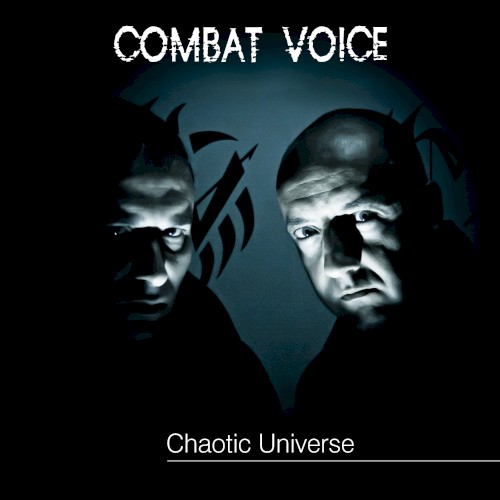 Chaotic Universe