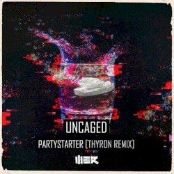 Partystarter (Thyron remix)