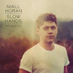Slow Hands (acoustic)