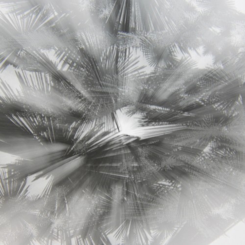 Wonderful Things: Retrospective