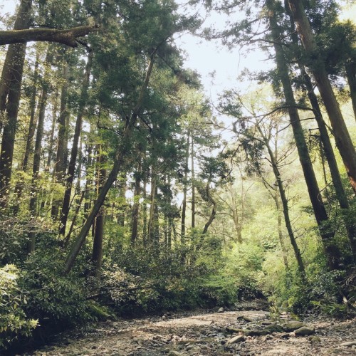 Hayama Ambient 002