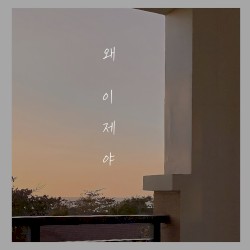 왜 이제야