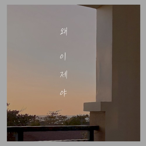 왜 이제야