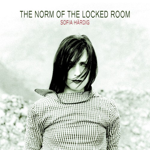 The Norm of the Locked Room