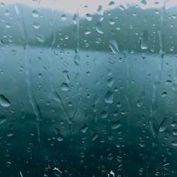 Sudden Shower