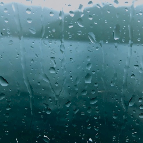 Sudden Shower