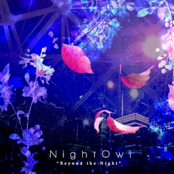 Beyond the Night