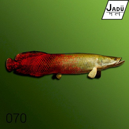 Bamboo