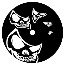 BZH009