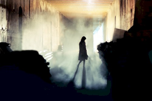 The Watcher