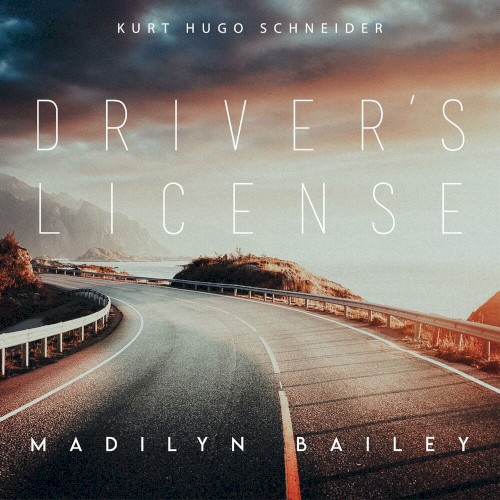 drivers license
