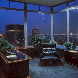 executive views