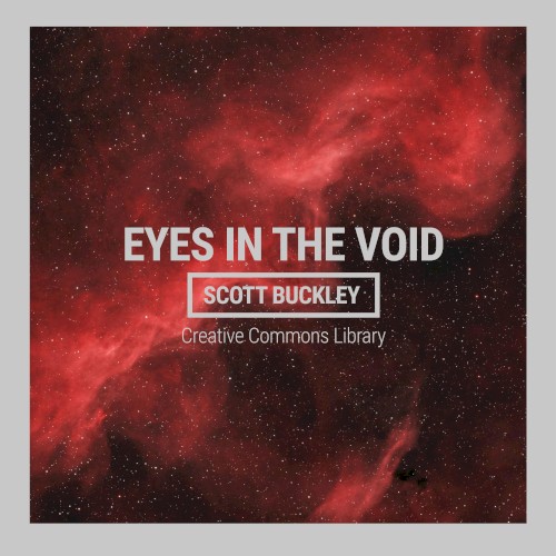 Eyes In The Void