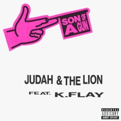Son of a Gun