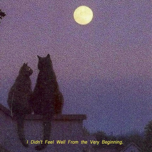I Didn’t Feel Well from the Very Beginning
