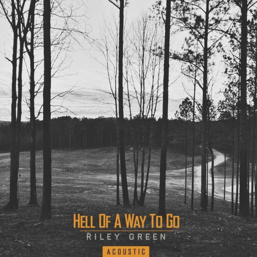 Hell of a Way to Go (acoustic)