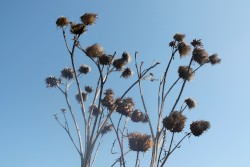 After Nature
