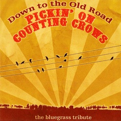 Pickin' On Counting Crows