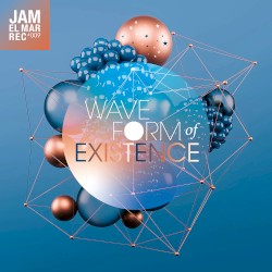 Waveform Of Existence