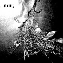 Still,