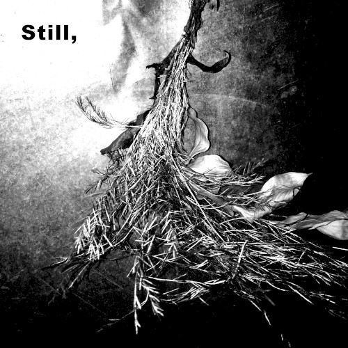 Still,