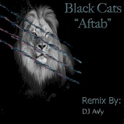 Aftab (DJ Avy Remix)
