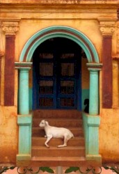 Billy Goat Latin