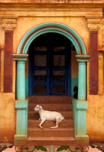 Billy Goat Latin