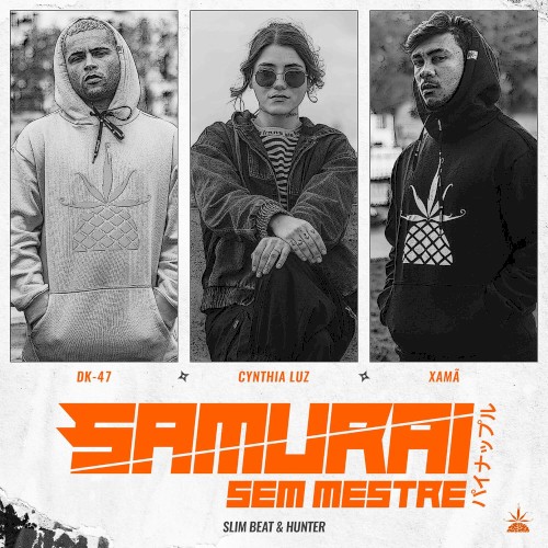 Samurai sem mestre