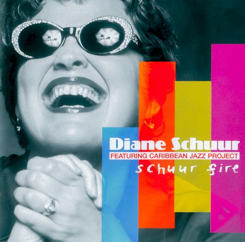 Schuur Fire