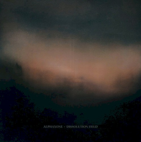 Dissolution Field