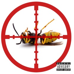 Buzz Like Us (Wasp Diss)
