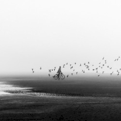 Mystical Illusions
