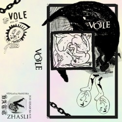 Vole
