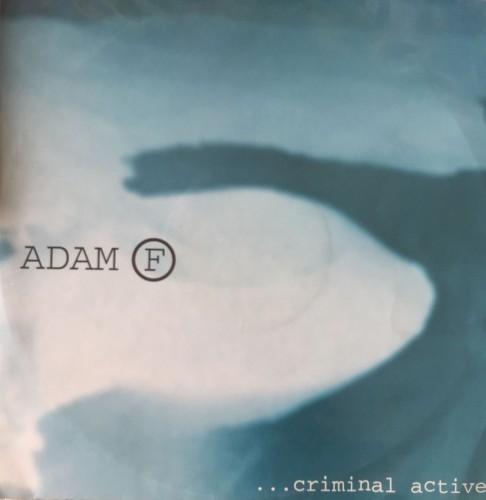 Criminal Active