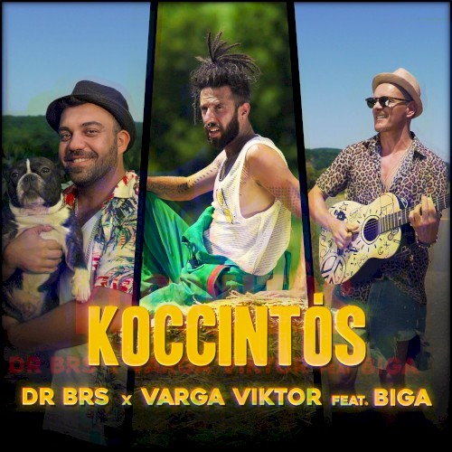 Koccintós