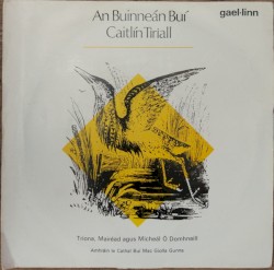 An Buinneán Buí / Caitlín Tiriall