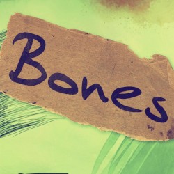 Bones