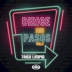 Dirige mis pasos