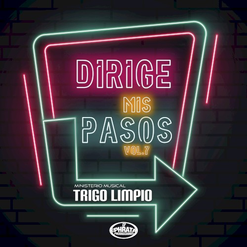 Dirige mis pasos